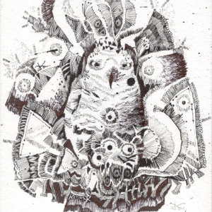 The owl